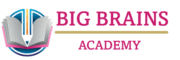 Big Brains Academy Photo